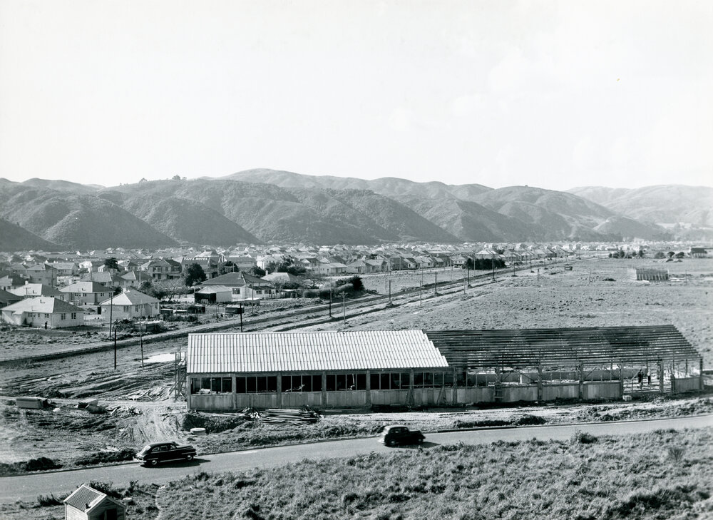 Industrial development in Taitā