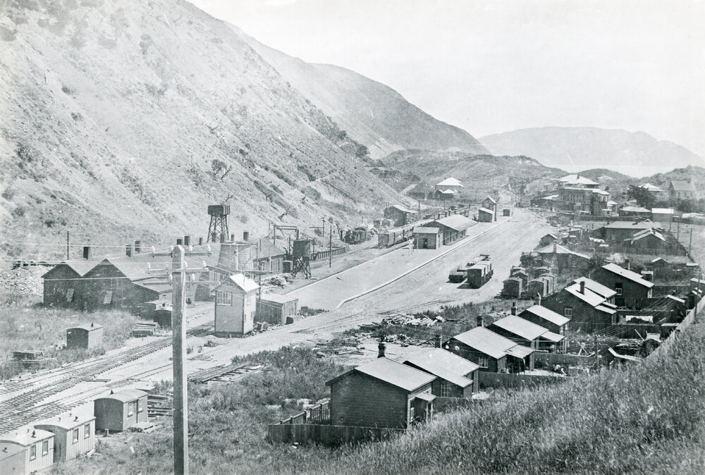 Paekākāriki Rail Yards 
