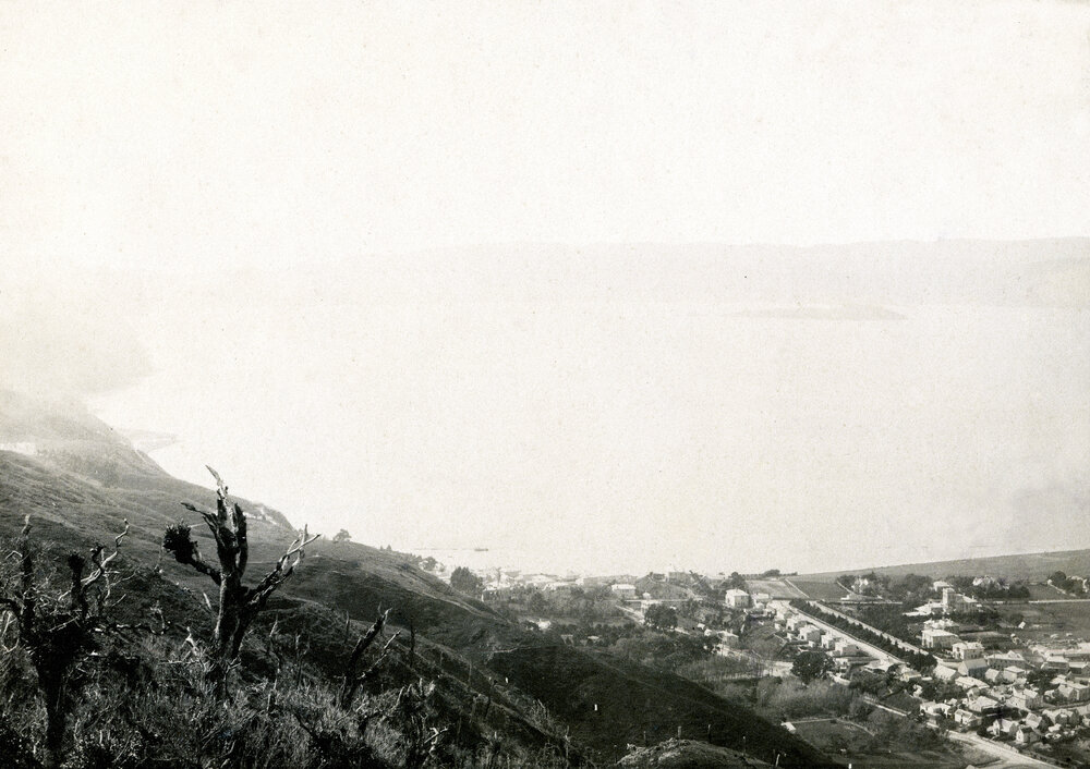 Te Ahumairangi