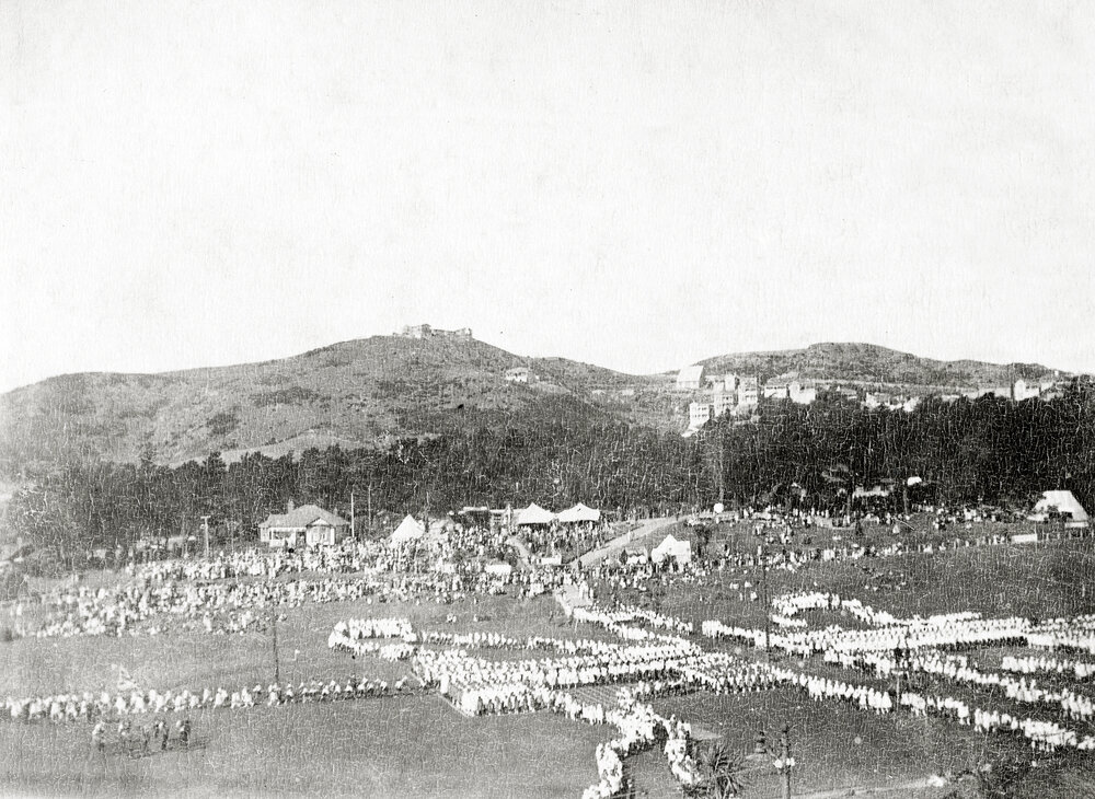 'Living Flag' at Newtown Park