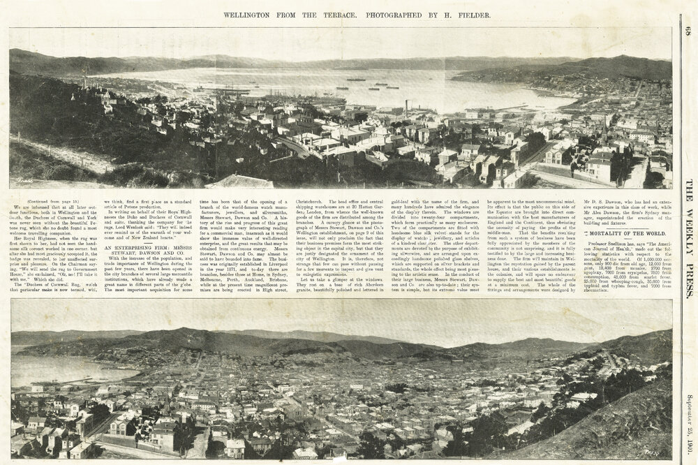 Wellington from the Terrace