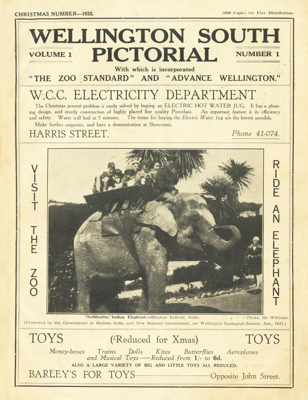 Wellington South Pictorial