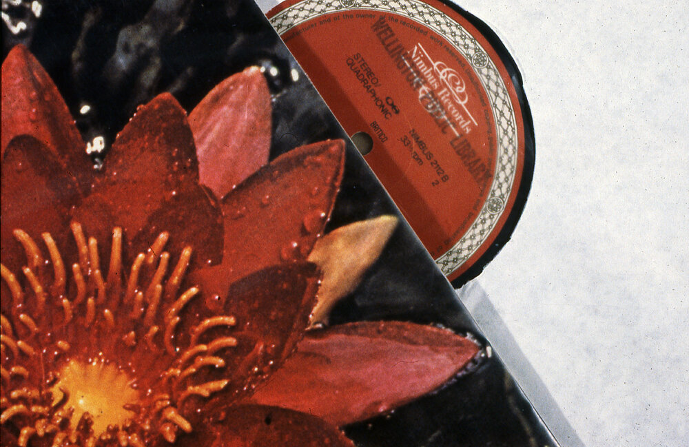 Library vinyl collection