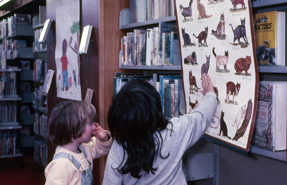 Newtown Library