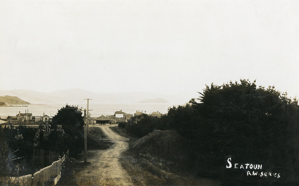 Falkirk Avenue, Seatoun