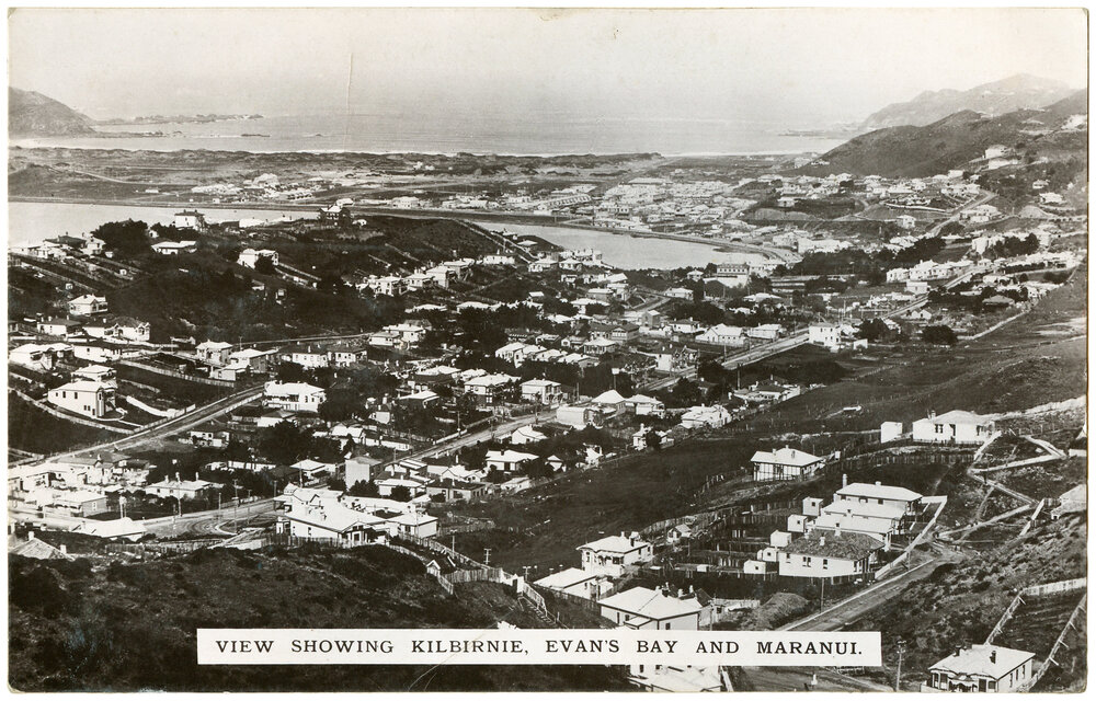 View showing Kilbirnie, Evan's Bay and Maranui