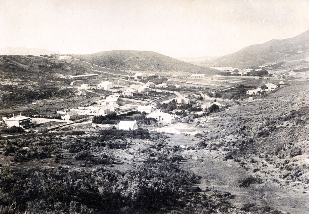 Hataitai