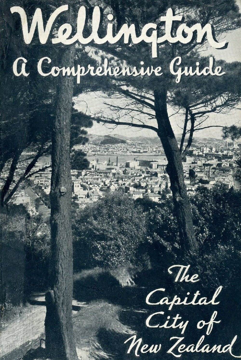 Wellington, a comprehensive guide : the capital city of New Zealand