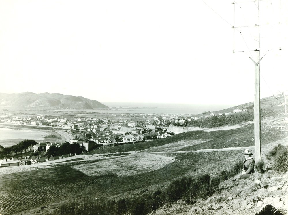 Kilbirnie from Hataitai