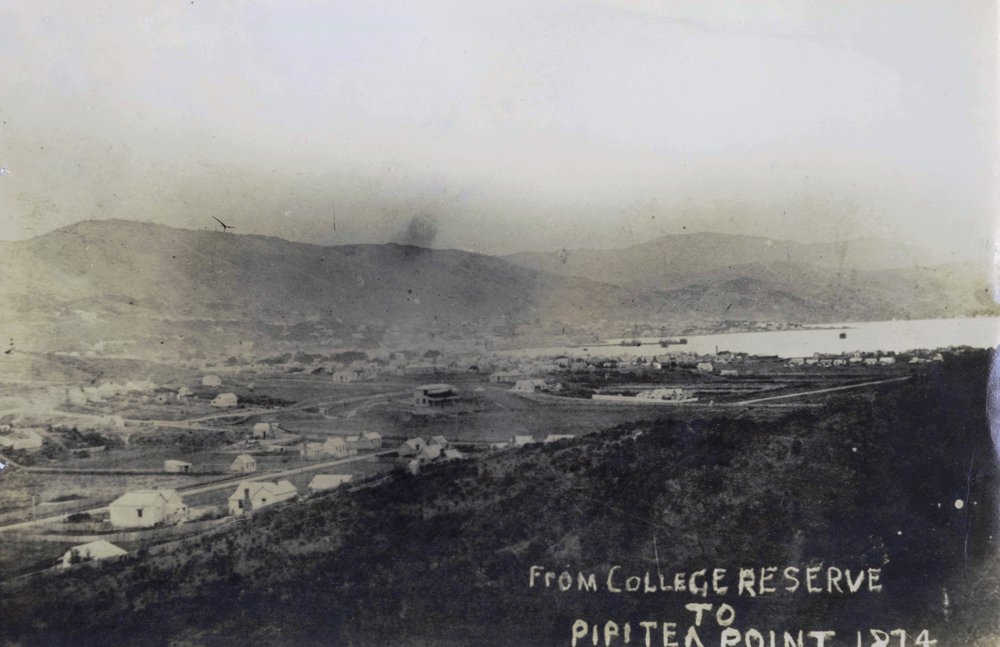Te Aro; from College Reserve to Pipitea Point