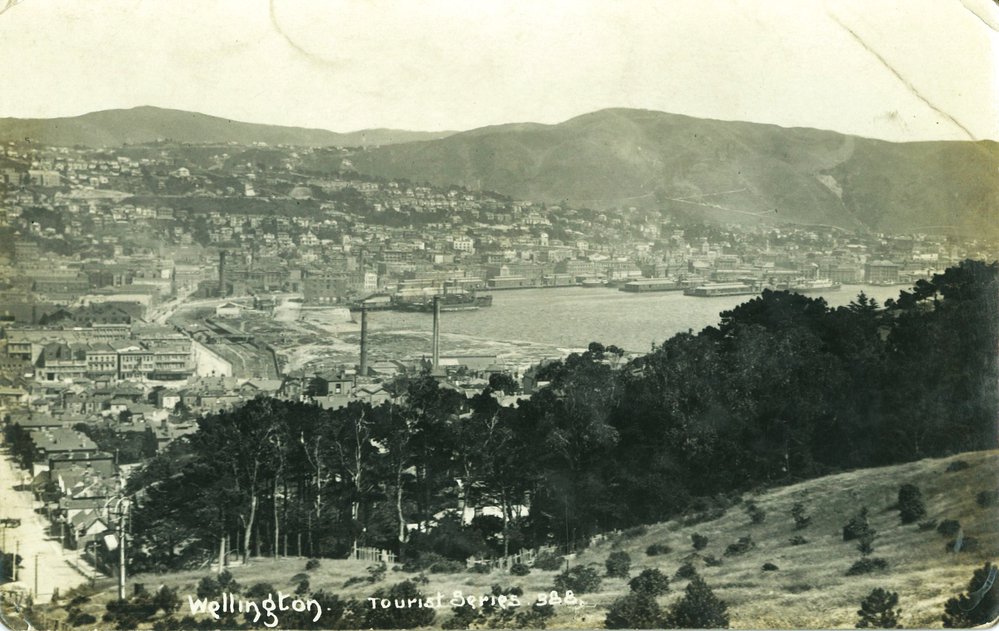 Looking across Wellington from Mt Victoria
