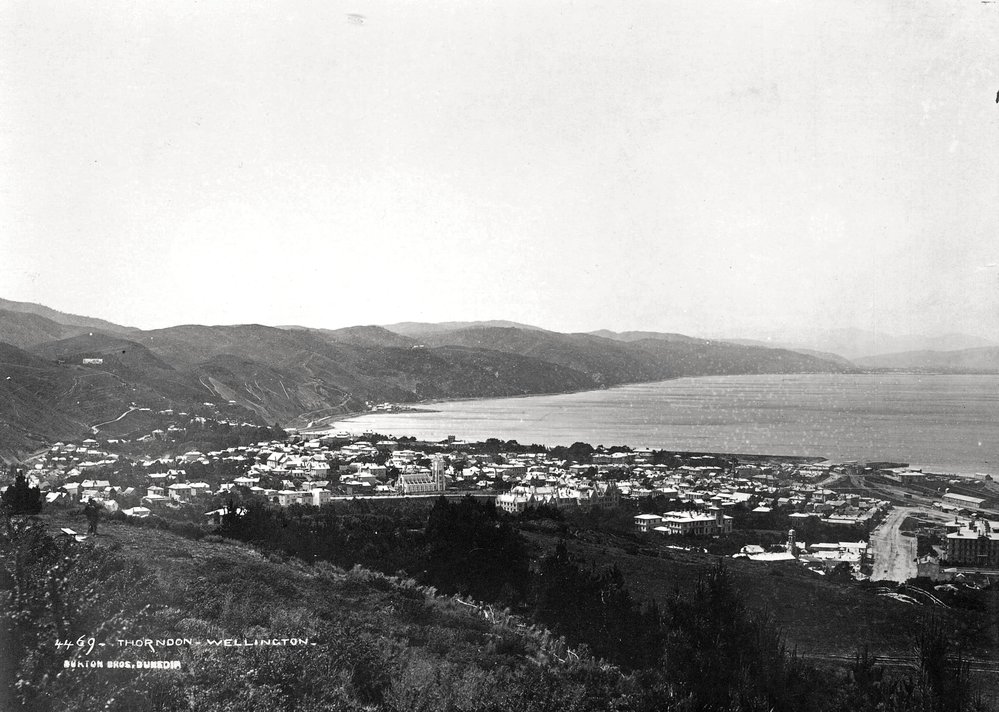 Thorndon from Tinakori Hill
