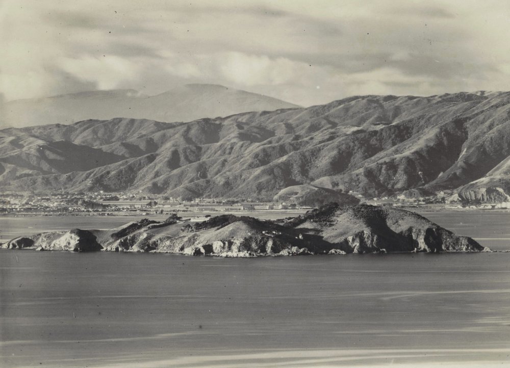 Matiu / Somes Island 