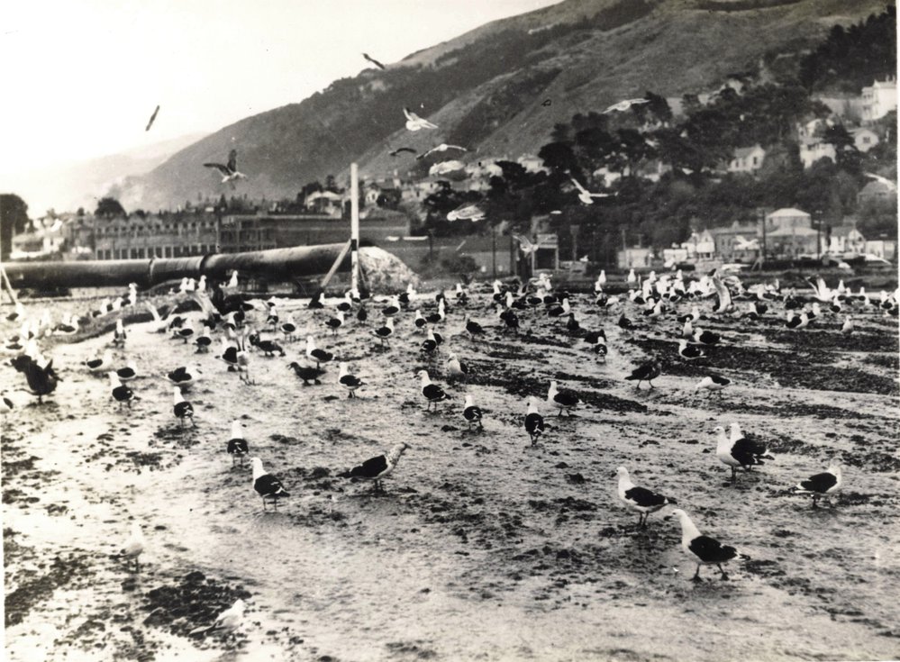 Thorndon Reclamation