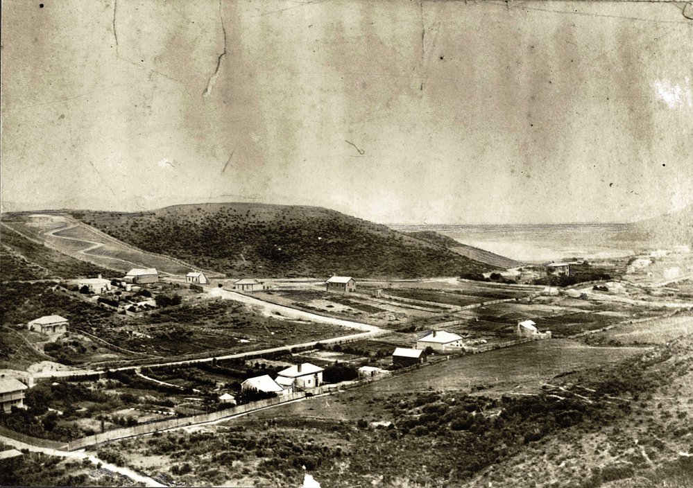 Hataitai