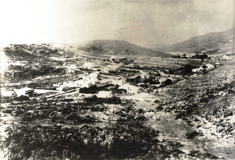 Hataitai