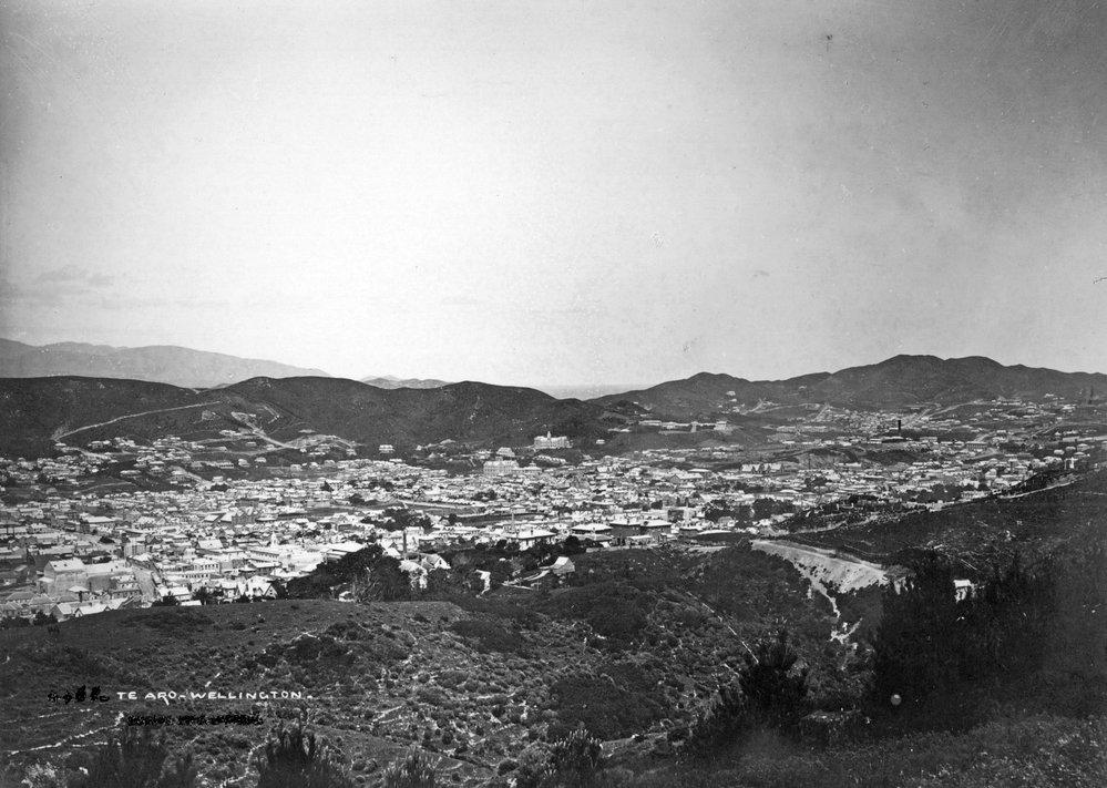 Te Aro