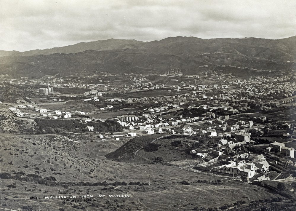 Te Aro from Mt Victoria