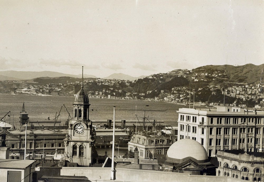 View across the city to Oriental Bay