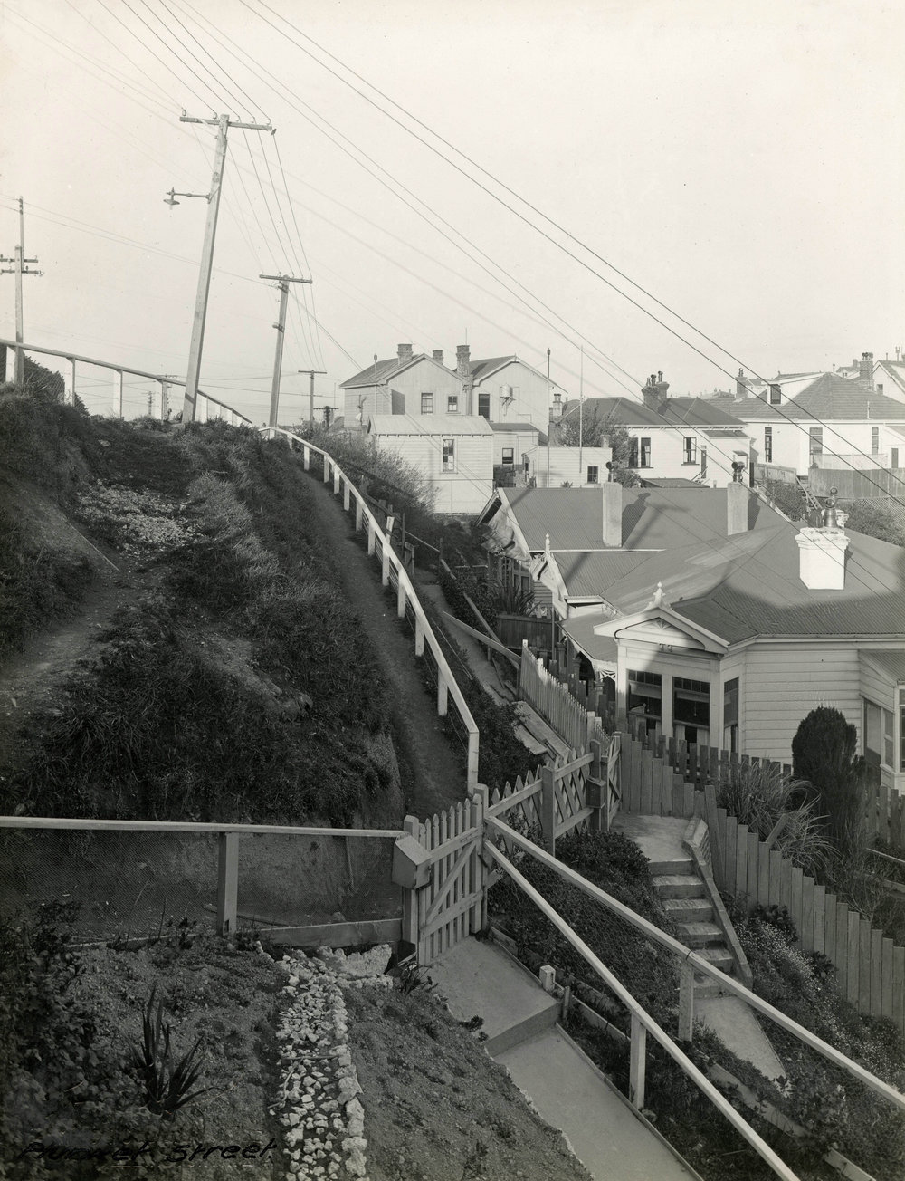 Plunket Street