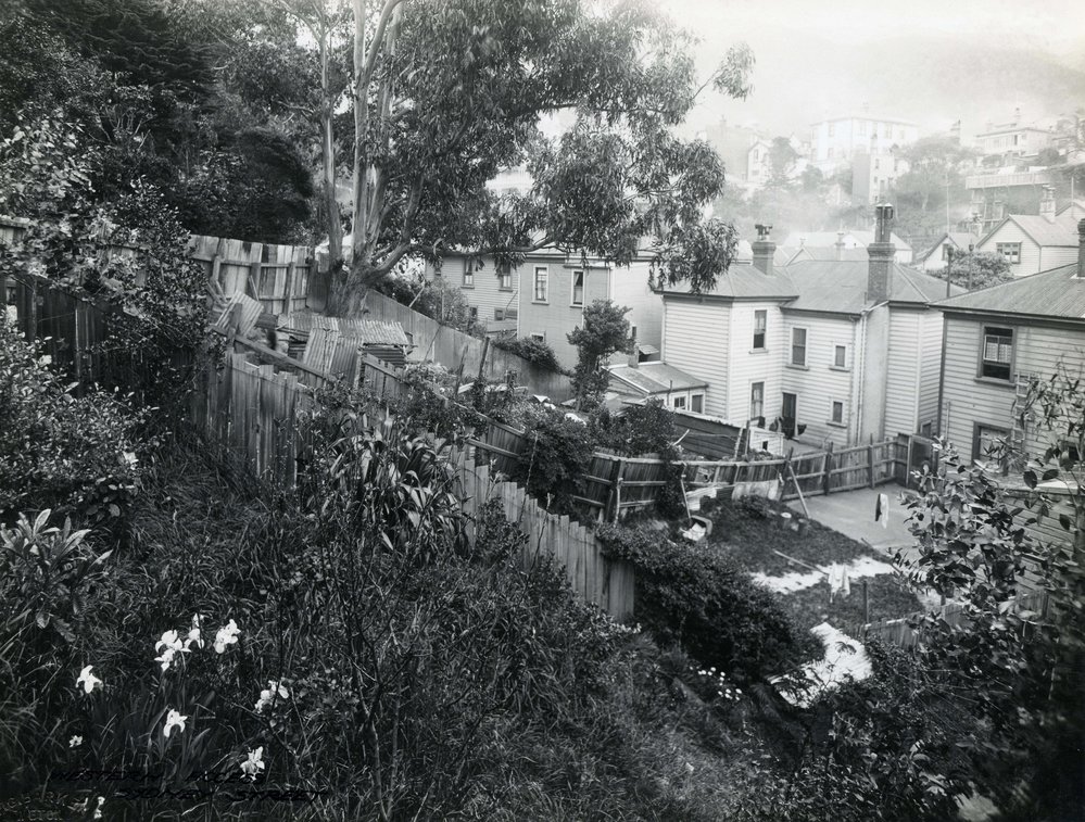 Backyards in Sydney Street