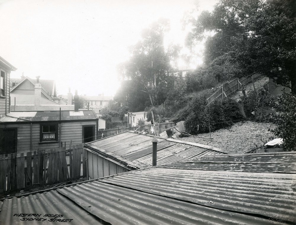 Backyards in Sydney Street