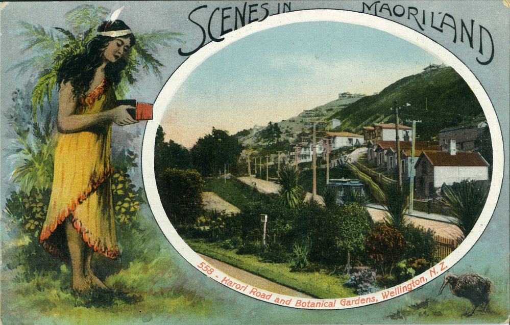 Glenmore Street from the Botanical Gardens