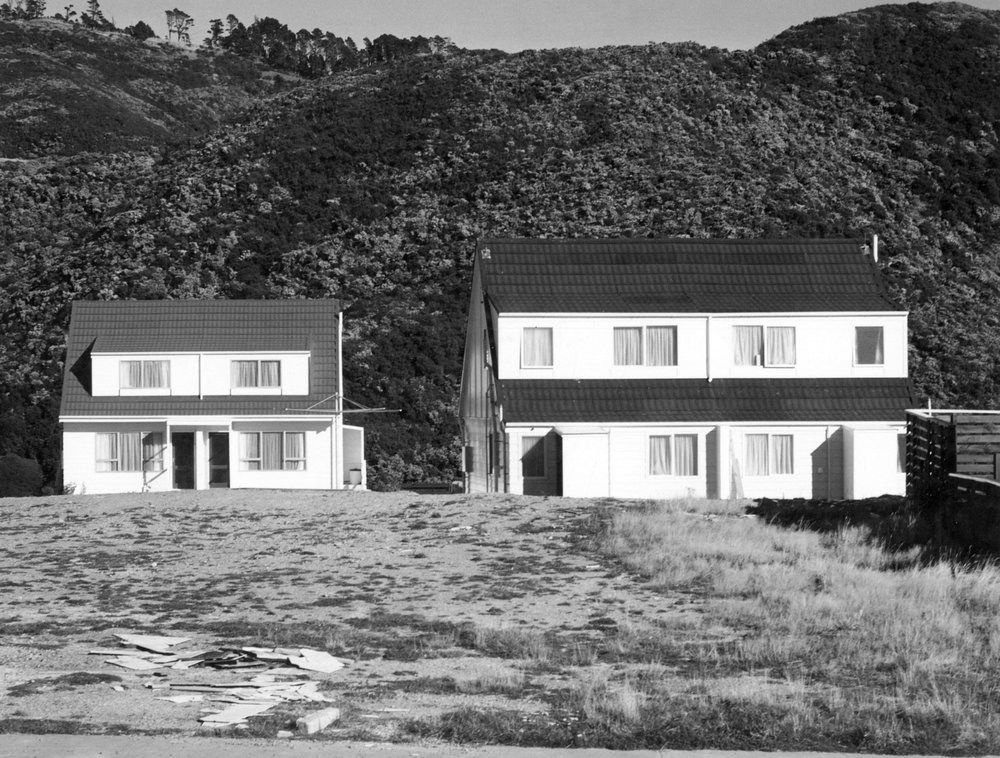 Colorado Grove, Brooklyn 