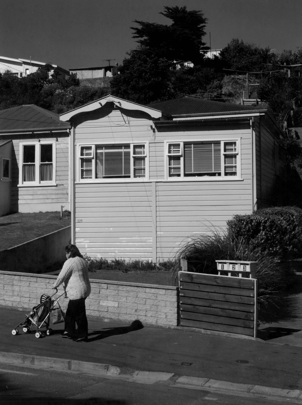 225 Ohiro Road
