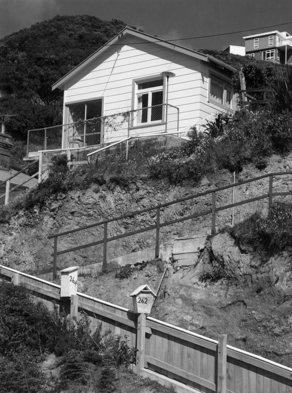 264 Ohiro Road
