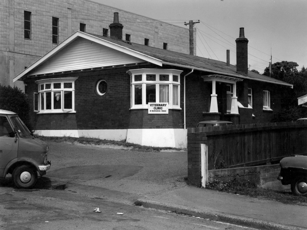 10 Burgess Road, Johnsonville