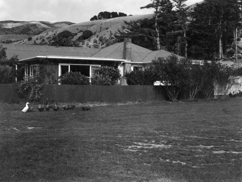 Dwelling, Makara Road