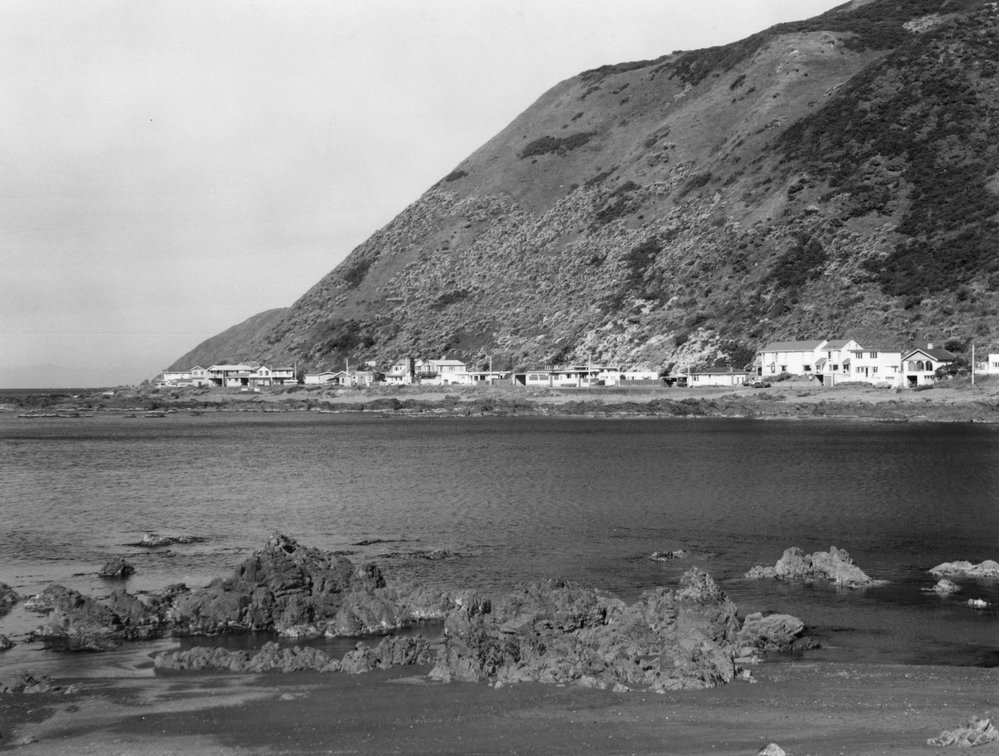 Owhiro Bay 