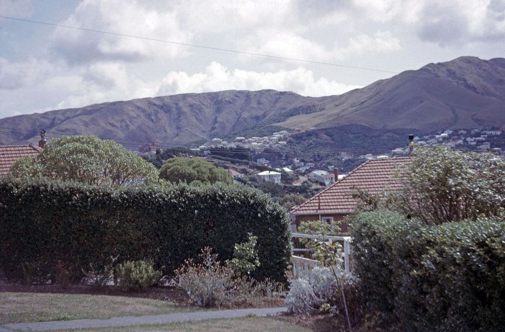Ngaio