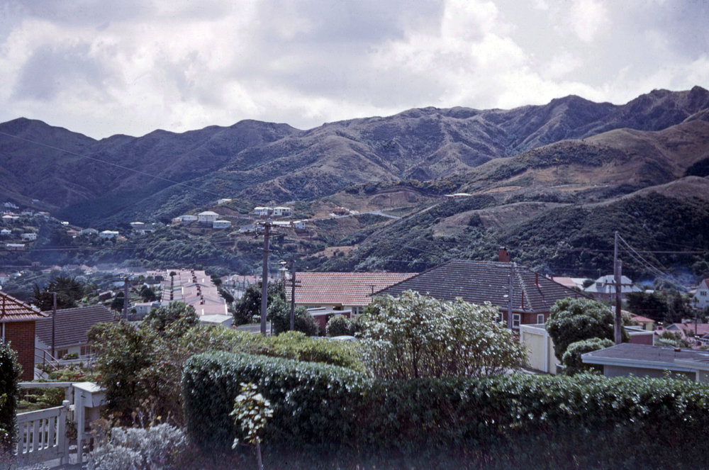 Ngaio