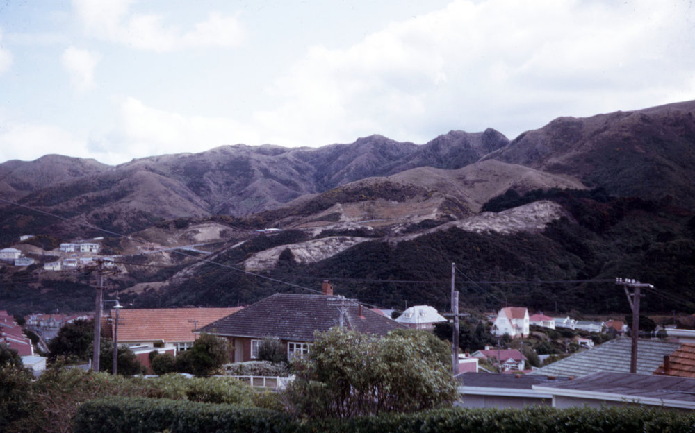Ngaio