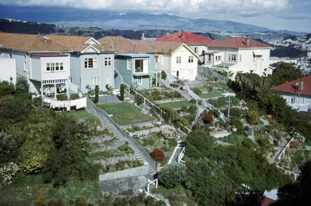 Houses on Springfield Terrace and Kelburn Parade 