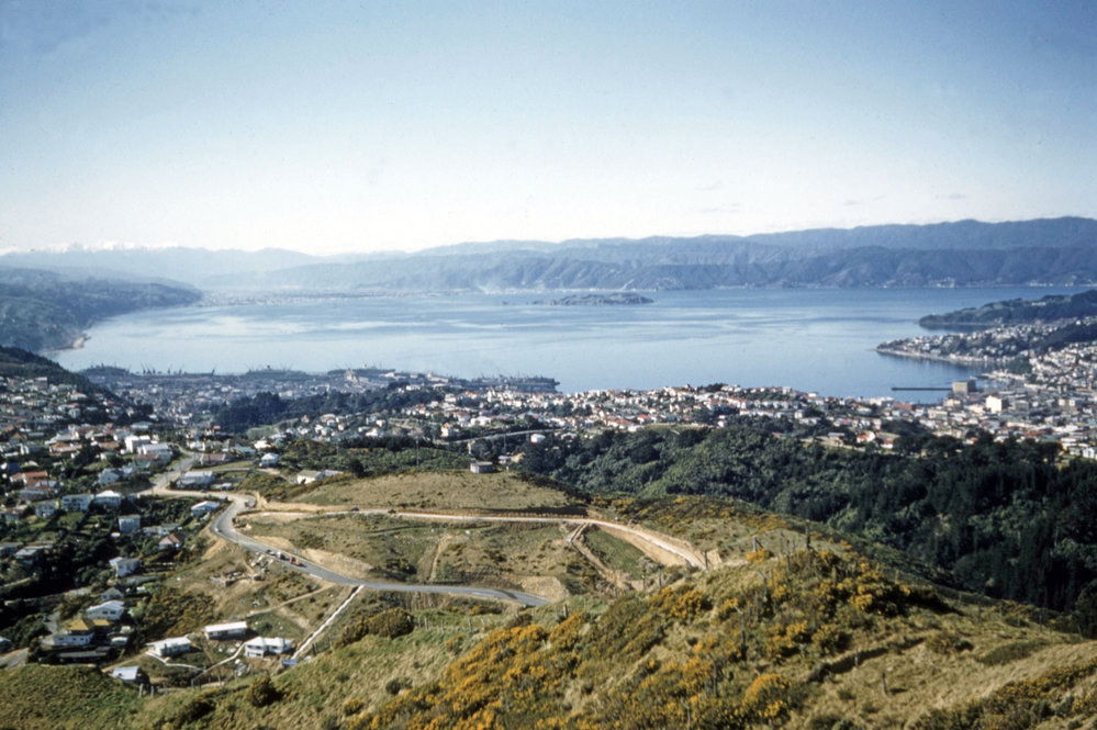 Wellington Harbour from Karori