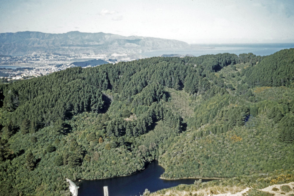 Karori Reservoir