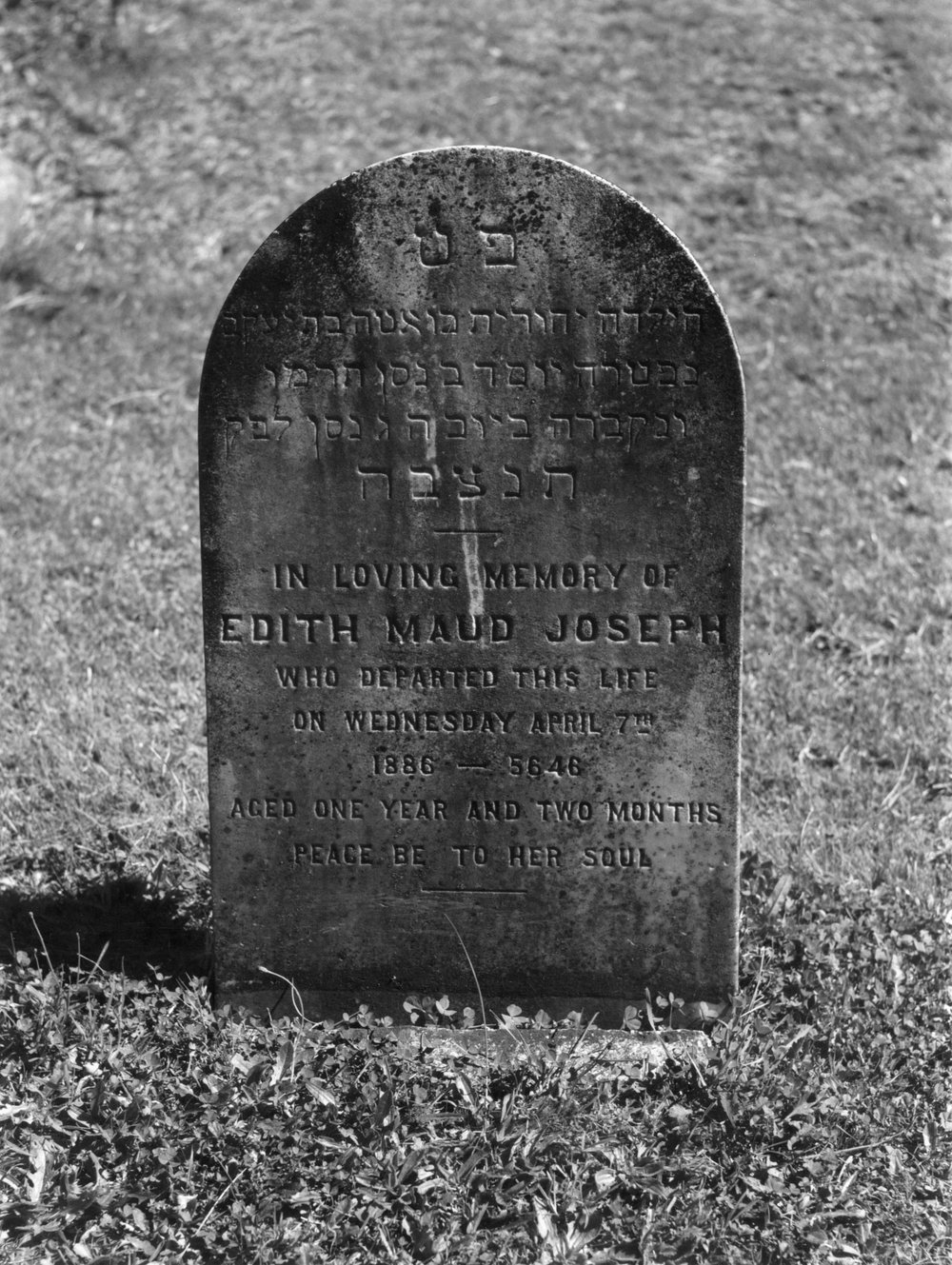 Bolton Street Cemetery