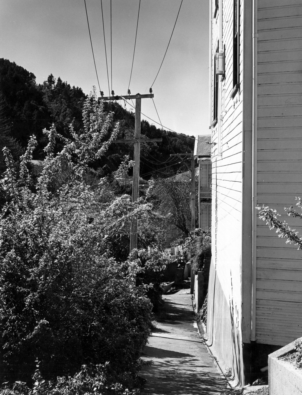 "The Wedge", 20 Glenbervie Terrace, Thorndon