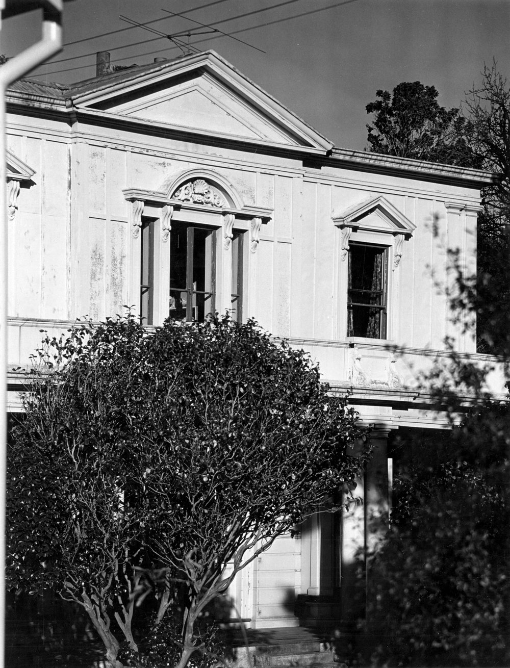 Hawkestone Crescent, Thorndon