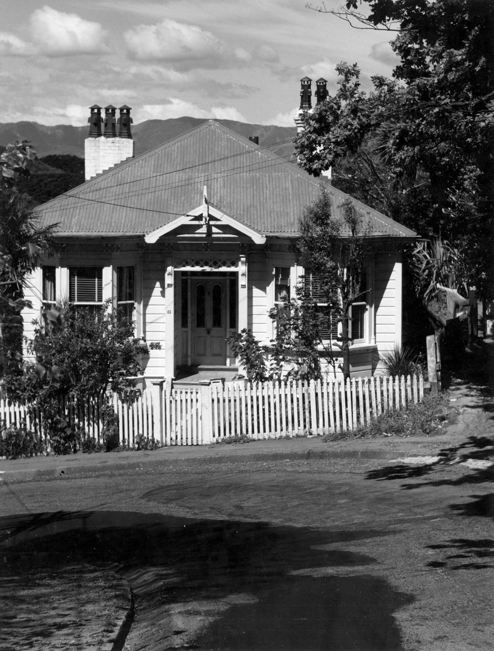 51 Bidwill Street, Mt Cook