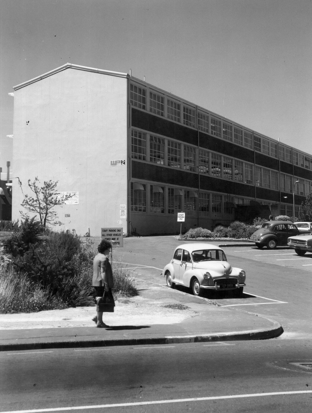 Wellington Polytechnic, Wallace Street, Mt Cook