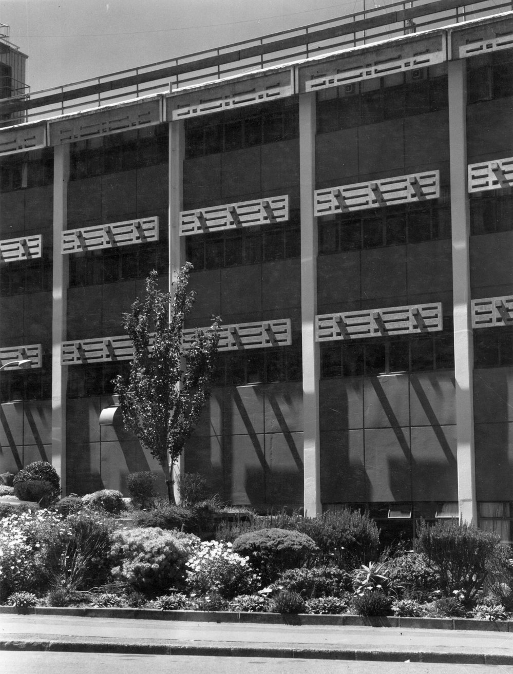 Wellington Polytechnic, Wallace Street, Mt Cook 