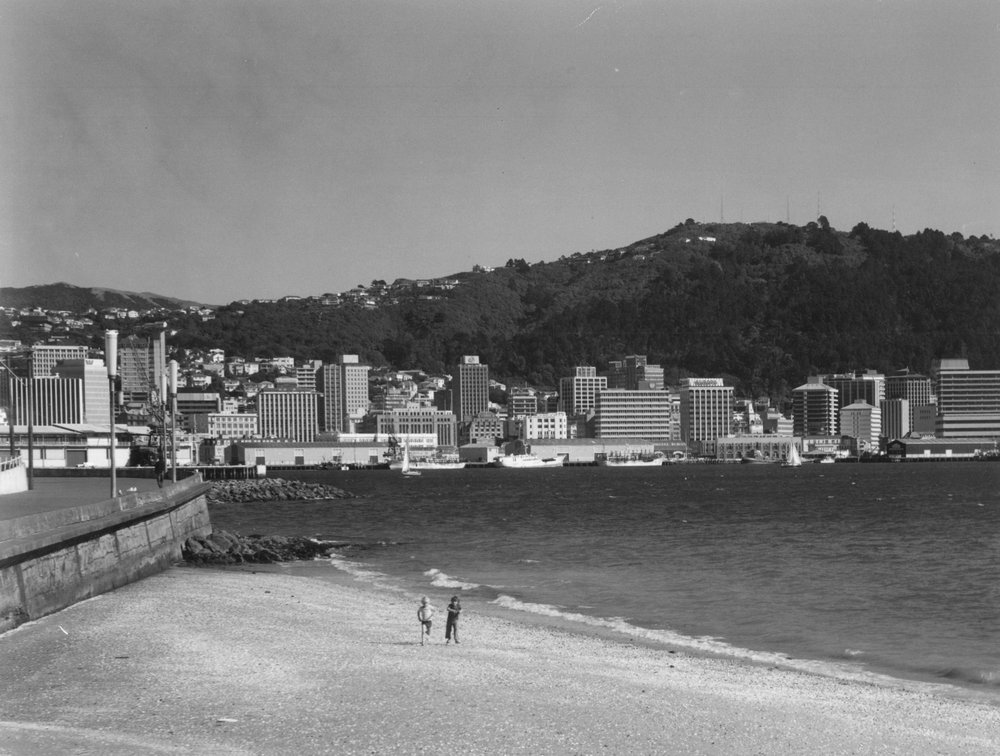 View of central Wellington from Oriental Bay