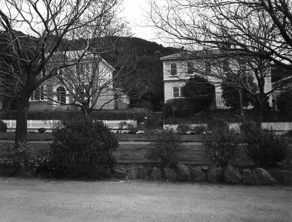 Fitzherbert Terrace, Thorndon