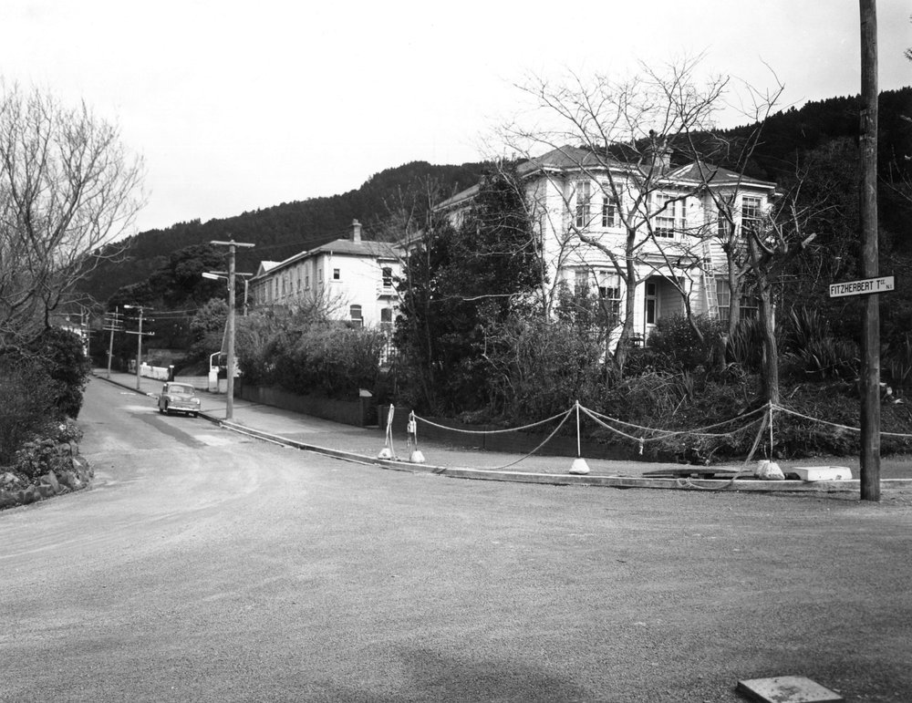 Fitzherbert Terrace, Thorndon