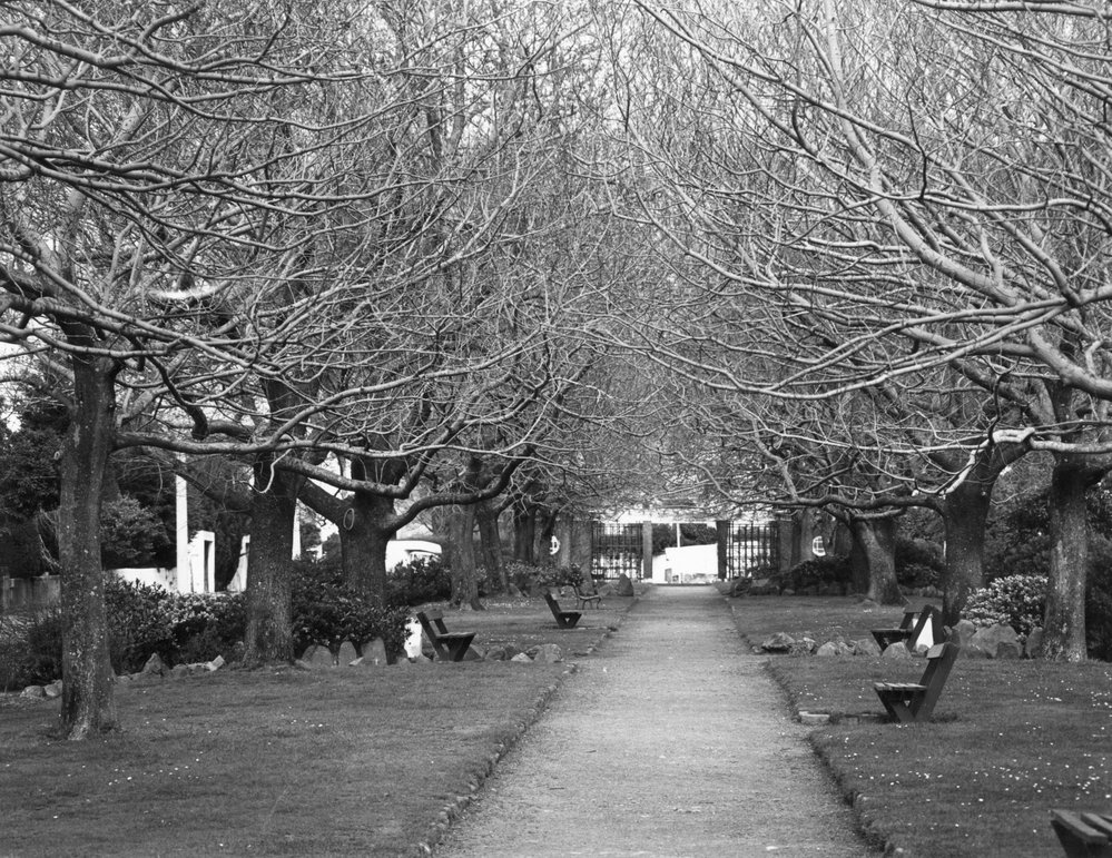 Fitzherbert Terrace Gardens, Thorndon