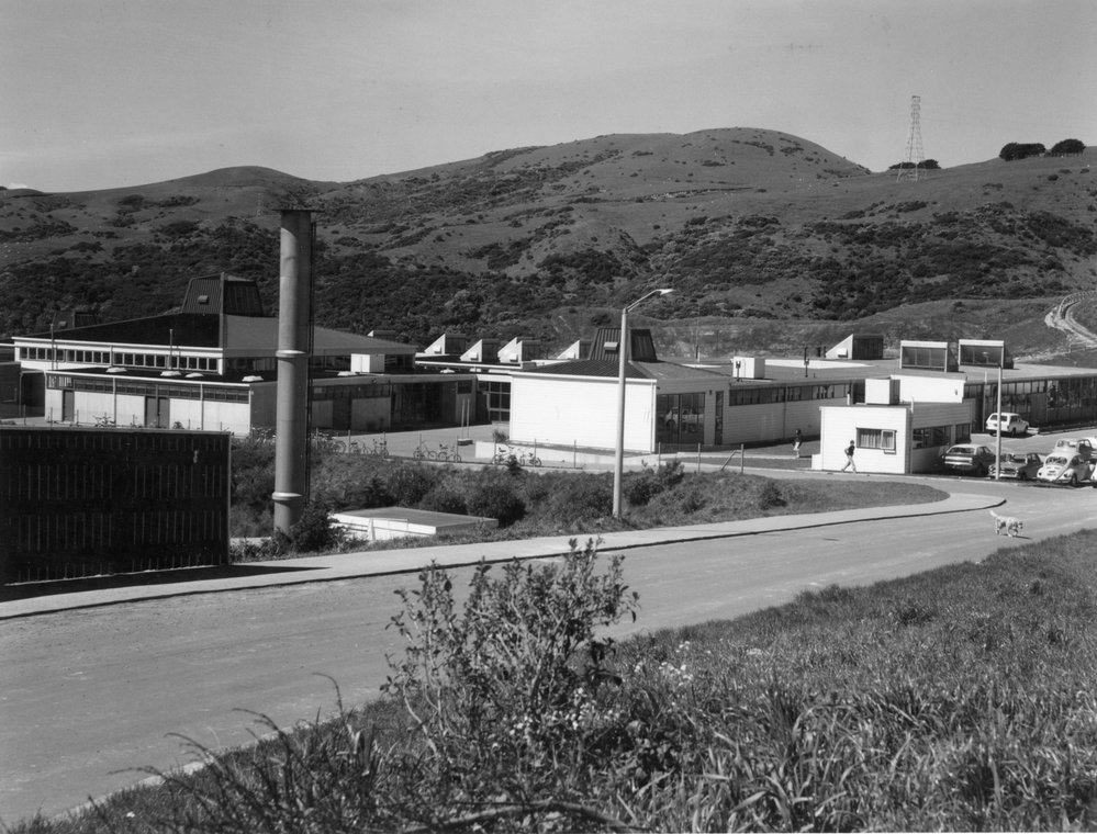 Newlands Intermediate School